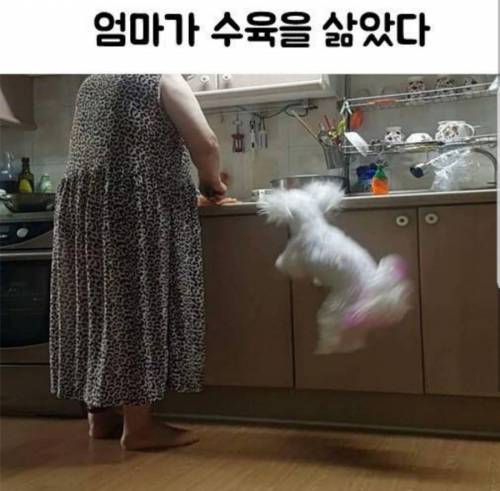 엄마가 수육을 삶았다.jpg