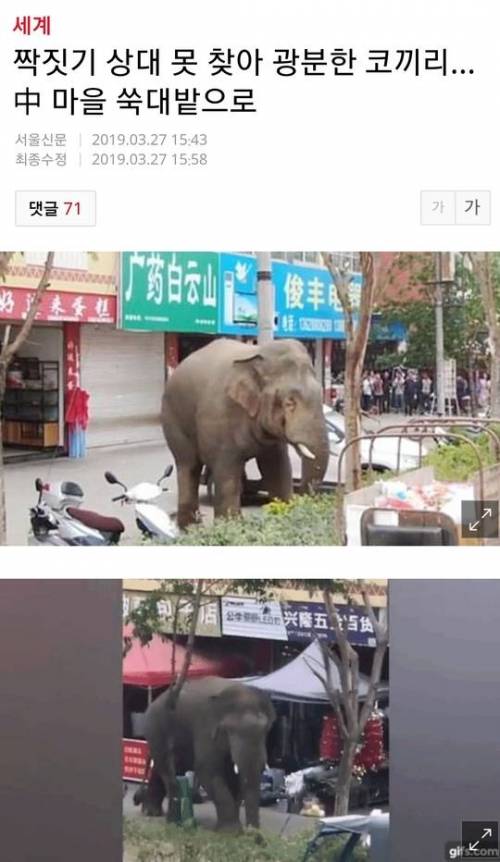 솔로의 위험성.jpg