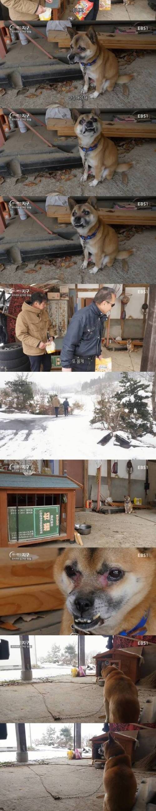 [스압] 후쿠시마에 찾아간 다큐 제작진.jpg