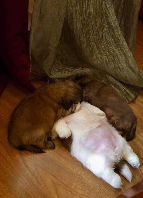 잠을 이상하게 자요.jpg