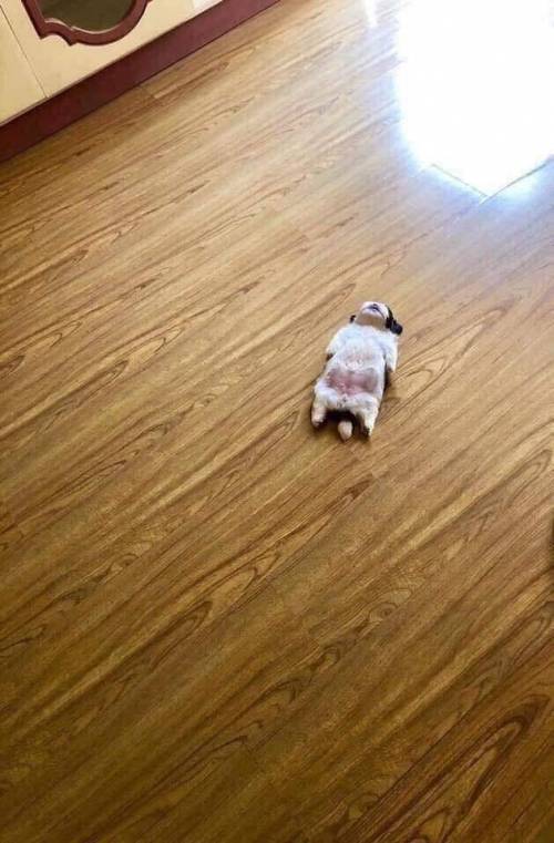 잠을 이상하게 자요.jpg