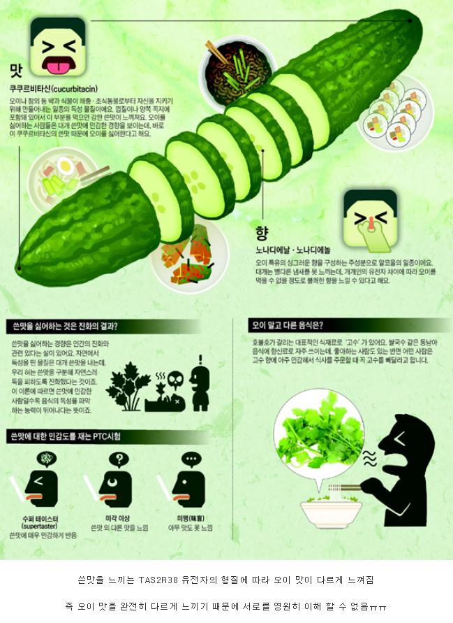 오이가 호불호 갈리는 이유.jpg