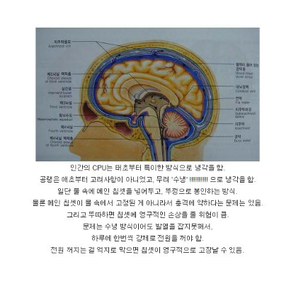 인간의 CPU가 가진 냉각 방식