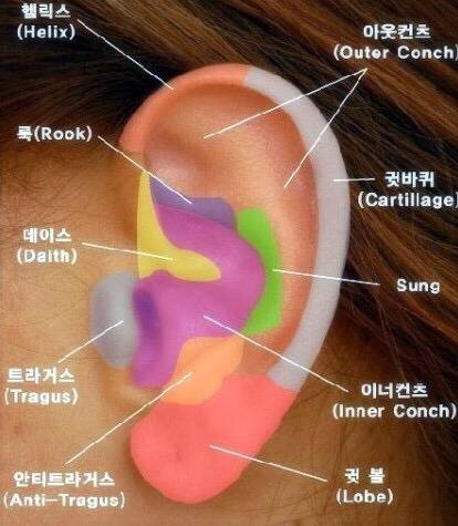 피어싱 종류와 고통지수.JPG