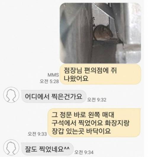 점장님 편의점에 쥐 나왔어요