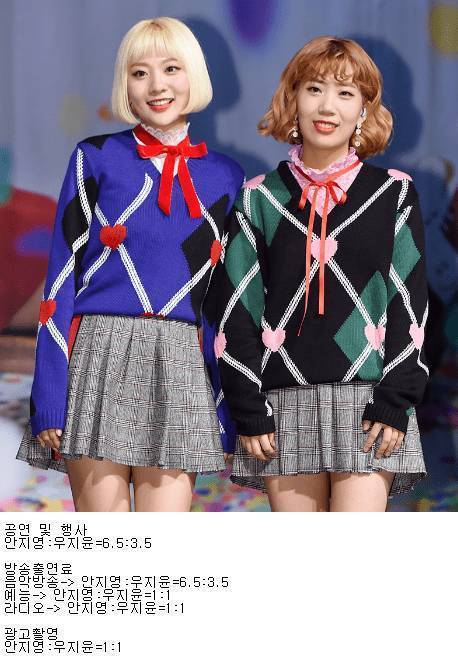 볼빨간사춘기 수입분배.jpg