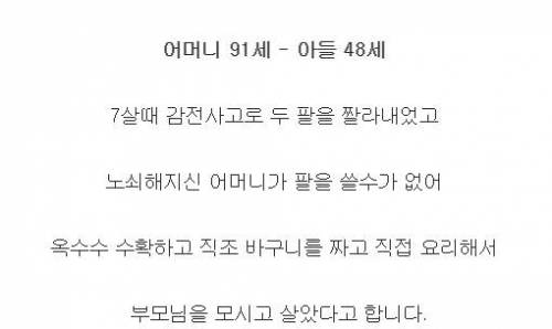 대륙의 효자.jpg
