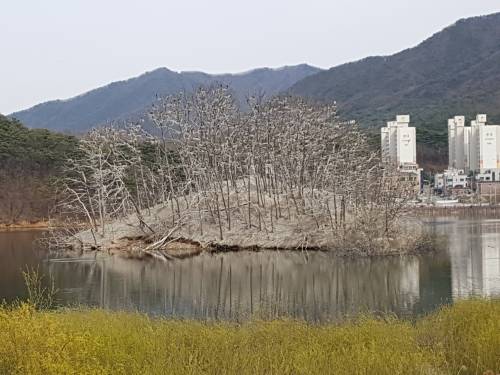 원주연세대 상황.jpg