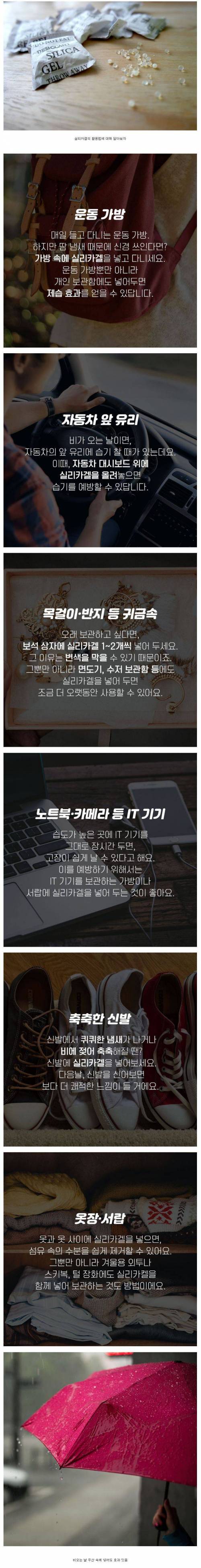 실리카겔 활용법.jpg