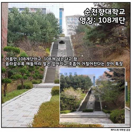 [스압] 대학교별 언덕 및 계단 자랑.jpg