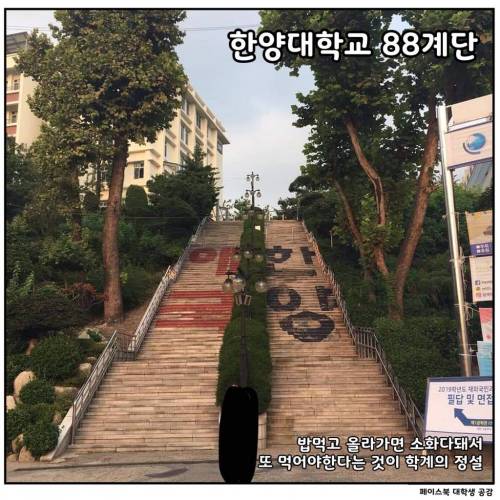 [스압] 대학교별 언덕 및 계단 자랑.jpg