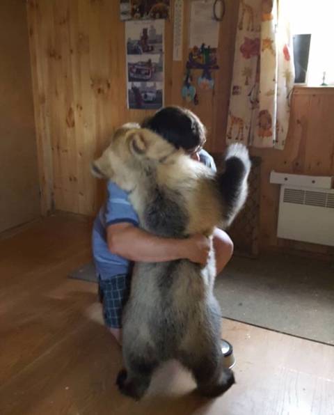[스압] 2년동안 성장한 곰의 모습.jpg