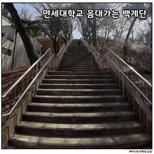 [스압] 대학교별 언덕 및 계단 자랑.jpg