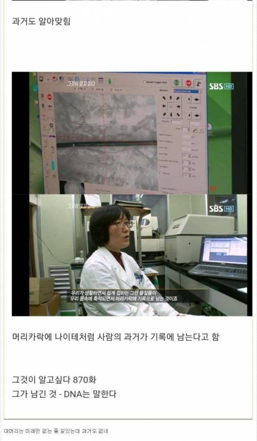 머리카락이 알려주는 사람의 삶.jpg