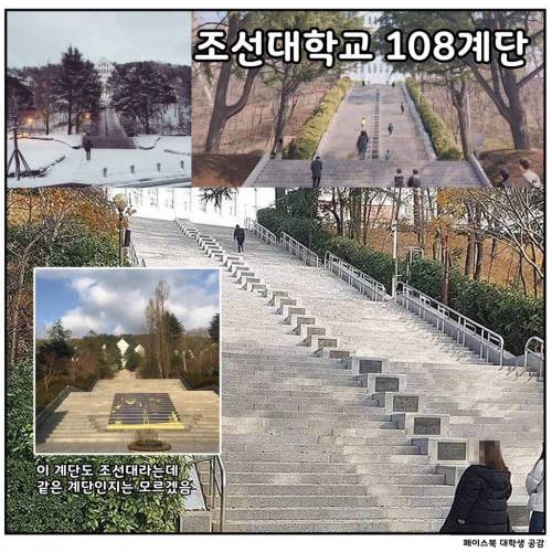 [스압] 대학교별 언덕 및 계단 자랑.jpg