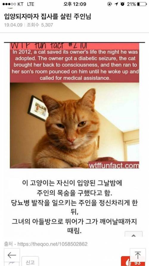 댕댕이는 못하는거