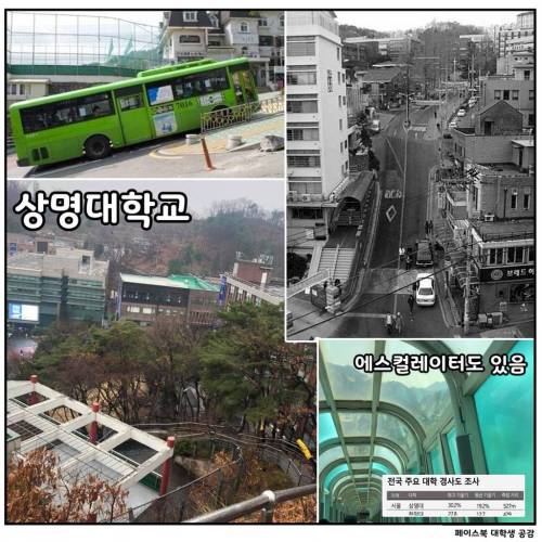 [스압] 대학교별 언덕 및 계단 자랑.jpg