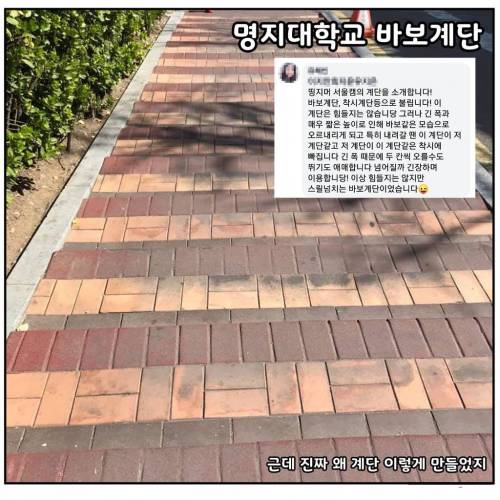 [스압] 대학교별 언덕 및 계단 자랑.jpg