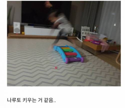 아파트 1층의 최대 장점.jpg