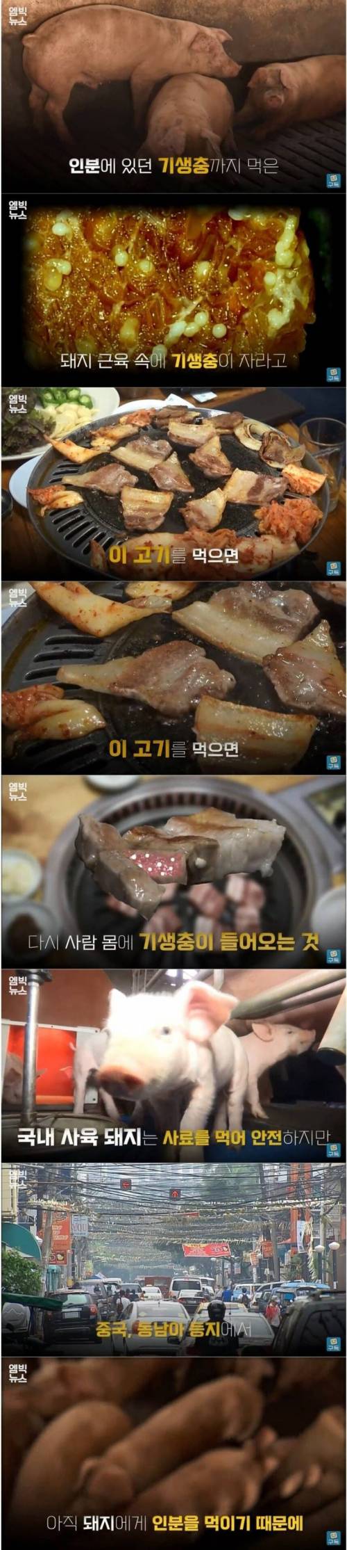 [스압] 삼겹살 먹다 감염된 기생충이 뇌와 척추까지 퍼진 이유