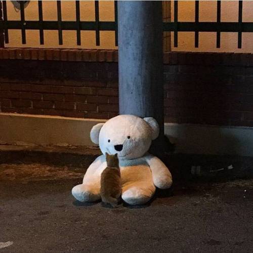 나랑 친구하자냥.jpg