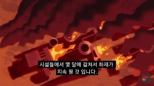 [스압] 모든 인류가 갑자기 사라진다면?.jpg