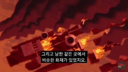 [스압] 모든 인류가 갑자기 사라진다면?.jpg