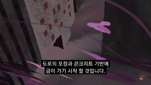 [스압] 모든 인류가 갑자기 사라진다면?.jpg