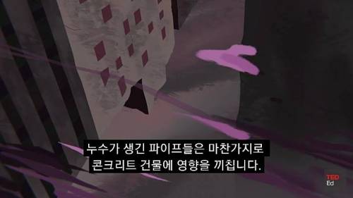 [스압] 모든 인류가 갑자기 사라진다면?.jpg