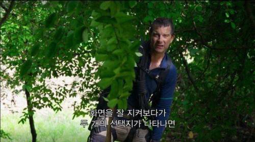 넷플릭스 신작 근황.jpg