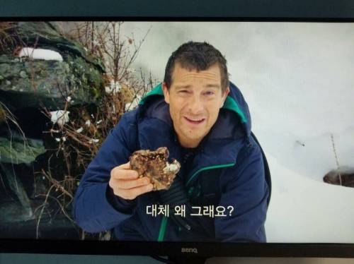 넷플릭스 신작 근황.jpg