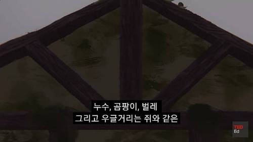 [스압] 모든 인류가 갑자기 사라진다면?.jpg