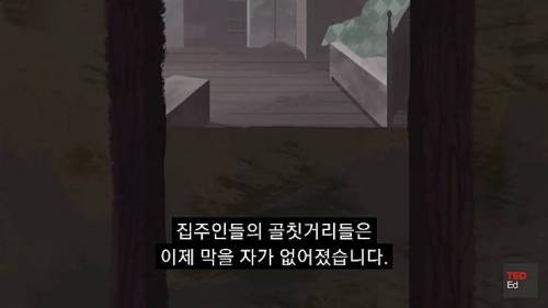 [스압] 모든 인류가 갑자기 사라진다면?.jpg