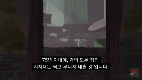 [스압] 모든 인류가 갑자기 사라진다면?.jpg