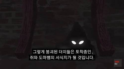 [스압] 모든 인류가 갑자기 사라진다면?.jpg