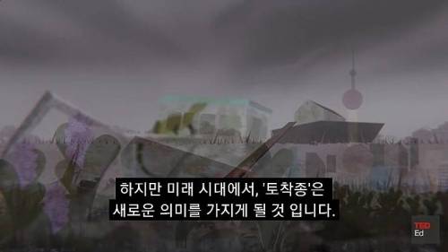 [스압] 모든 인류가 갑자기 사라진다면?.jpg