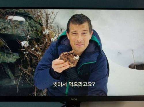 넷플릭스 신작 근황.jpg