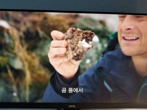넷플릭스 신작 근황.jpg