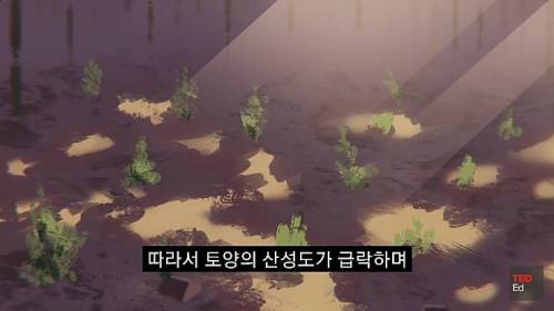 [스압] 모든 인류가 갑자기 사라진다면?.jpg