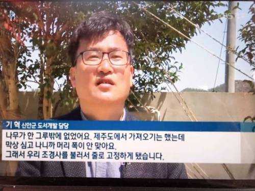 세상에서 제일 사랑스러운 벽화.jpg