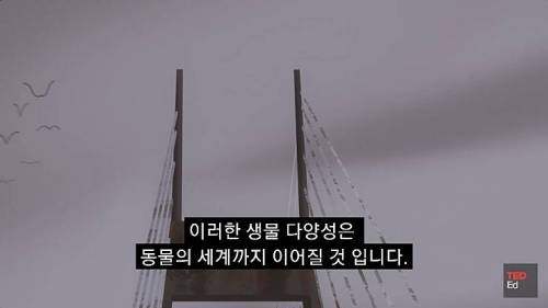 [스압] 모든 인류가 갑자기 사라진다면?.jpg