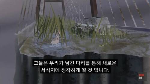 [스압] 모든 인류가 갑자기 사라진다면?.jpg