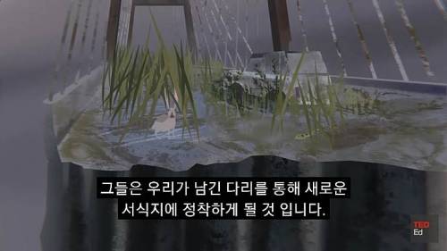 [스압] 모든 인류가 갑자기 사라진다면?.jpg