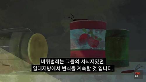 [스압] 모든 인류가 갑자기 사라진다면?.jpg