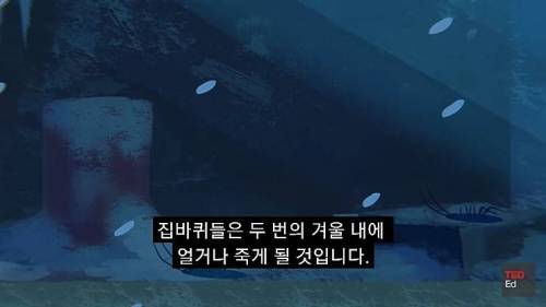 [스압] 모든 인류가 갑자기 사라진다면?.jpg