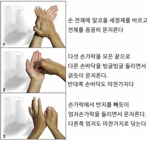 스위스 연구진, 전염병 막을 가장 과학적인 손씻기 방법 내놔