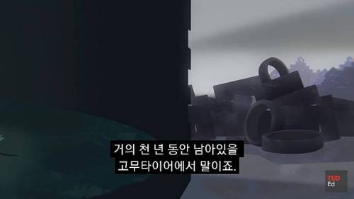 [스압] 모든 인류가 갑자기 사라진다면?.jpg