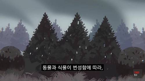 [스압] 모든 인류가 갑자기 사라진다면?.jpg