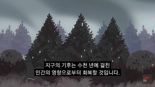 [스압] 모든 인류가 갑자기 사라진다면?.jpg