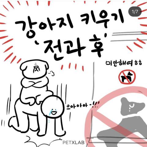 강아지 키우기 전과 후.jpg